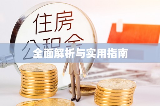 博乐全面解析与实用指南