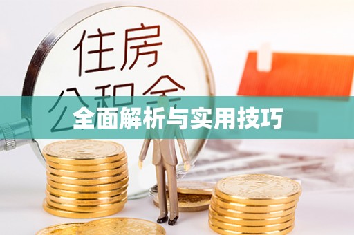 博乐全面解析与实用技巧