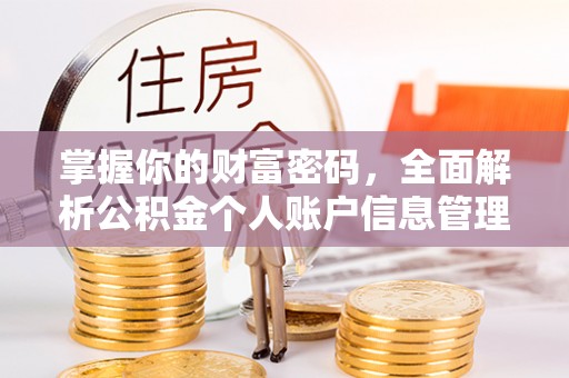 博乐掌握你的财富密码，全面解析公积金个人账户信息管理与优化