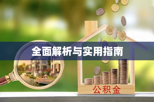 博乐全面解析与实用指南
